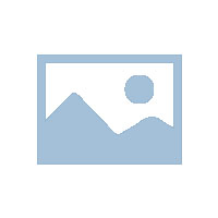 繼續教育（包括網絡教育、成人教育、開放大學等）的2025年本科畢業生，可以報名參加2025年國家統壹法律職業資格考試。